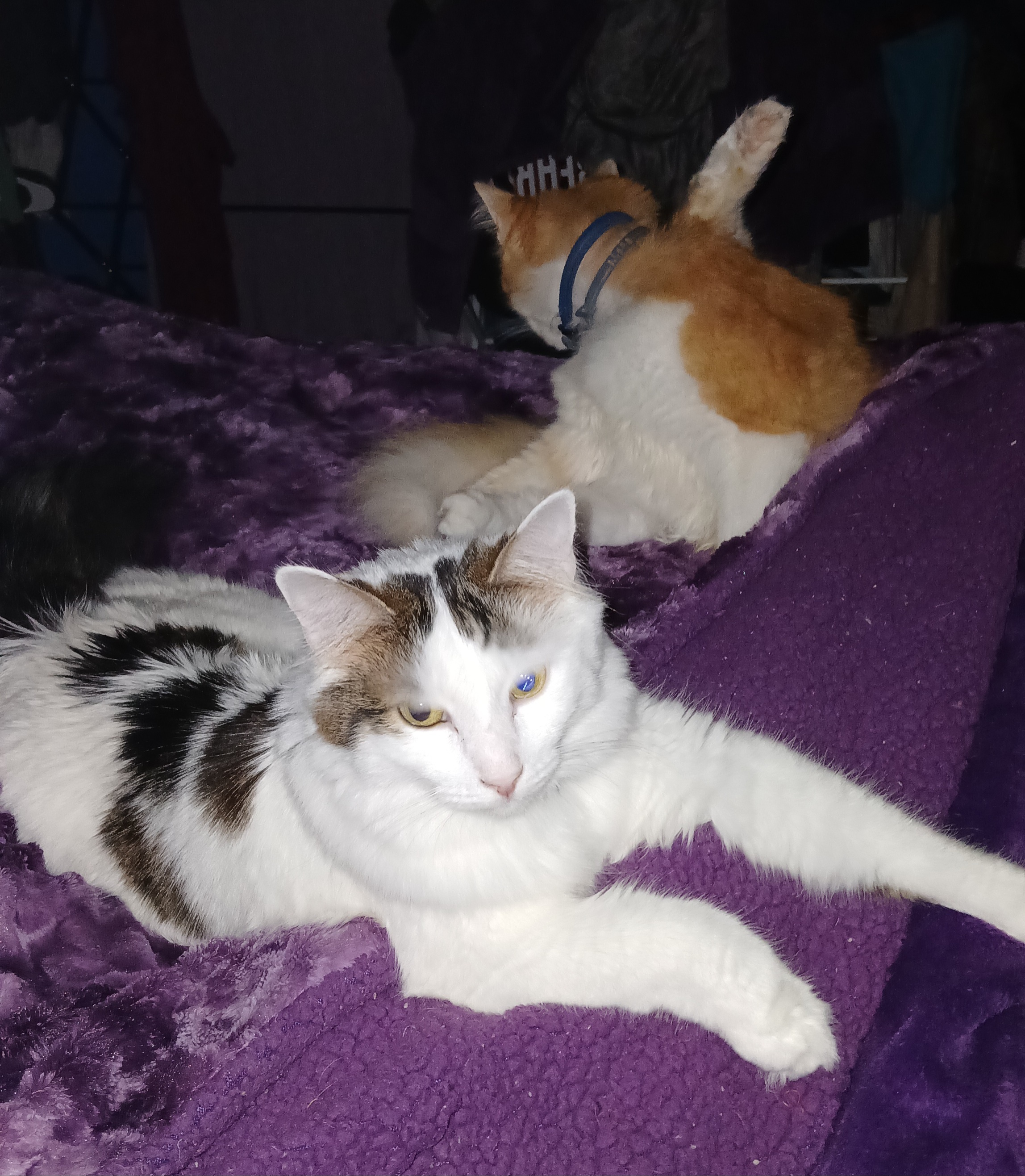 I've officially been claimed!