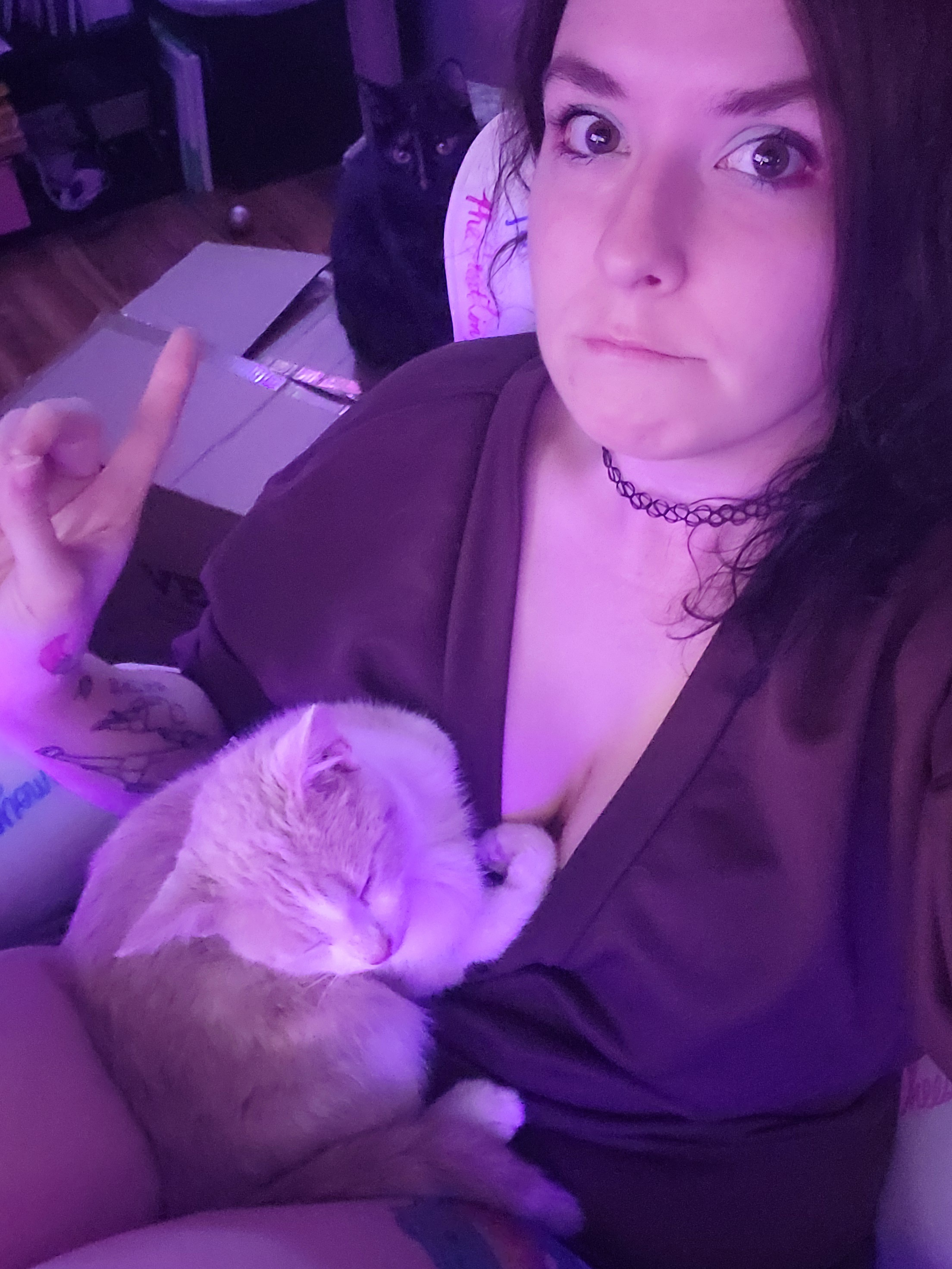 Merry Christmas from Your Favorite Bottom Shelf Shitposter