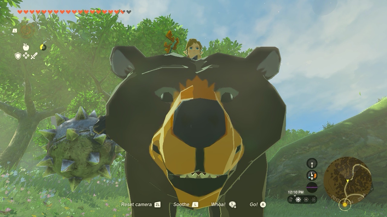 Link, what on earth are you doing to my boy?