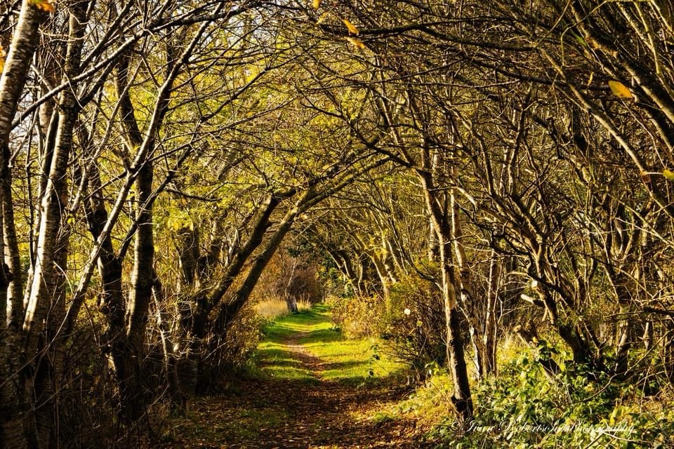 Exploring the Pathway to Adventure