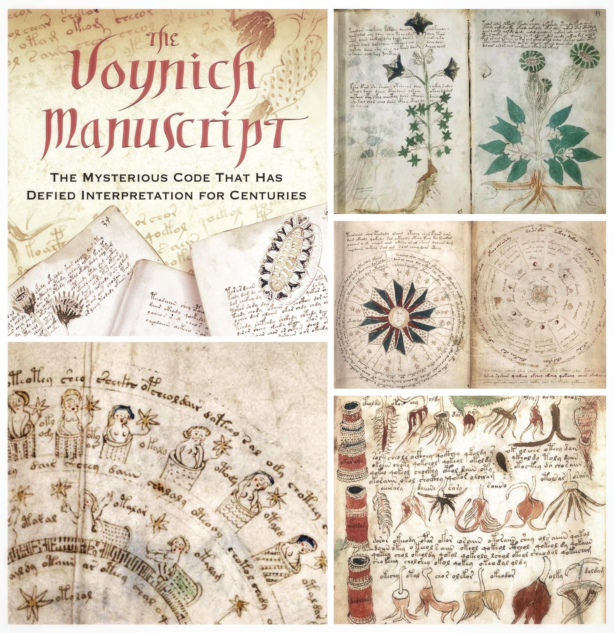 Unraveling the Secrets of the Voynich Manuscript