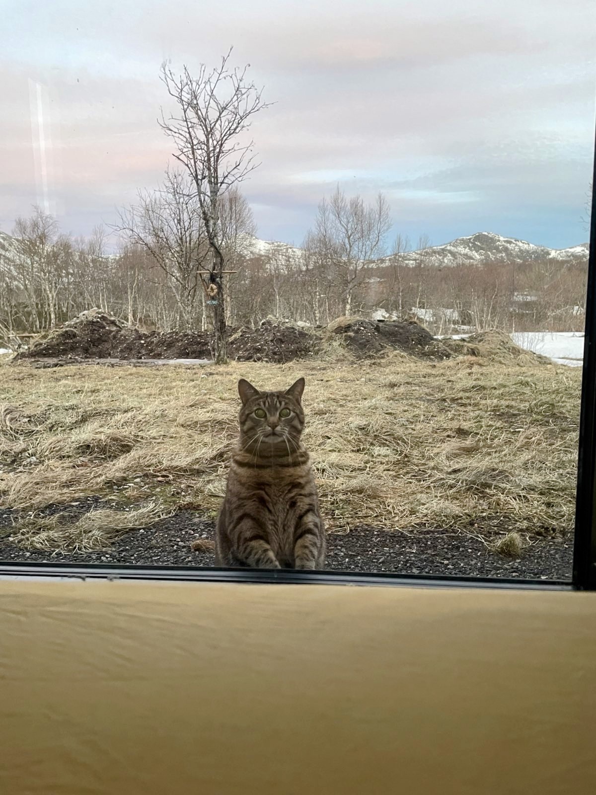 Fuzz Aldrin's morning wake-up call is too adorable!