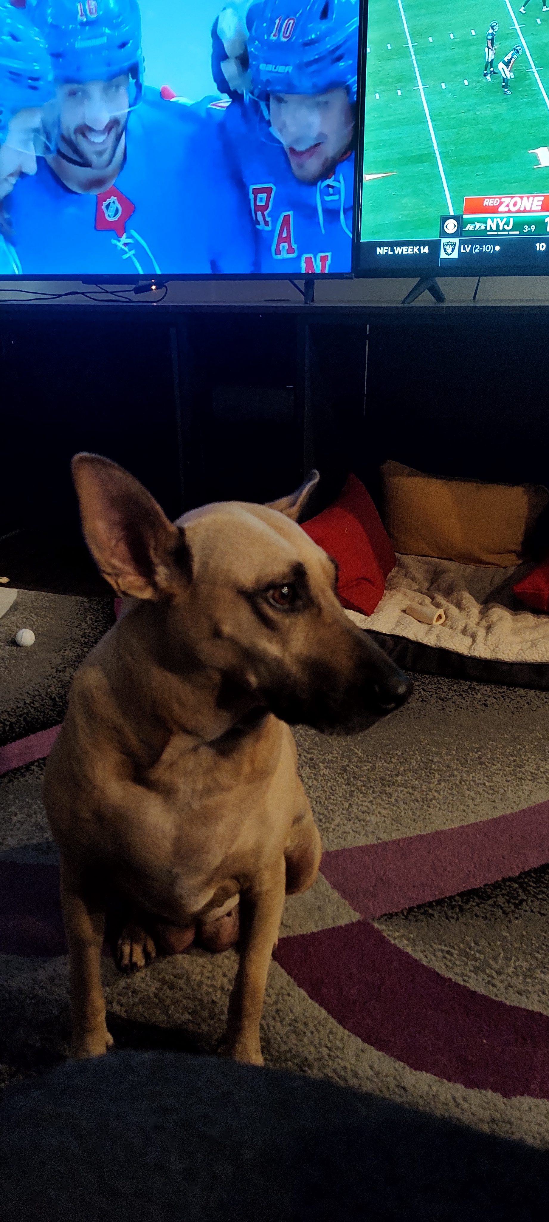 Maggie’s Disinterest: No Love for the Rangers or Jets
