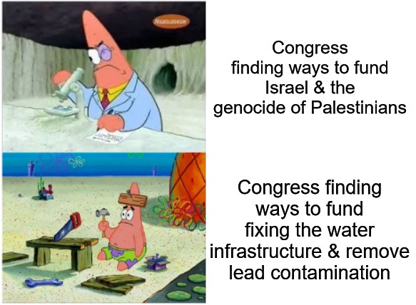 Congressional Priorities: A Whimsical Perspective