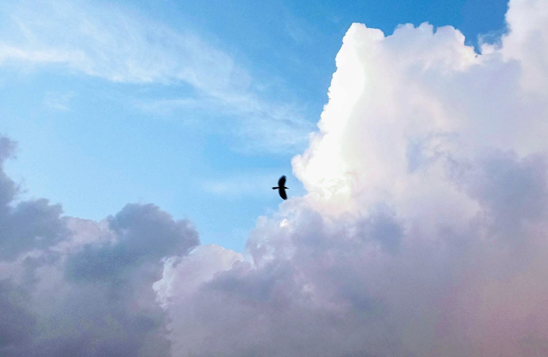 Sky and... what else awaits?