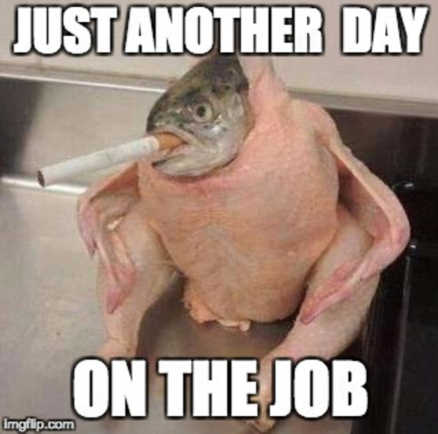 Friday: The Only F-Word That Brings Me Joy
