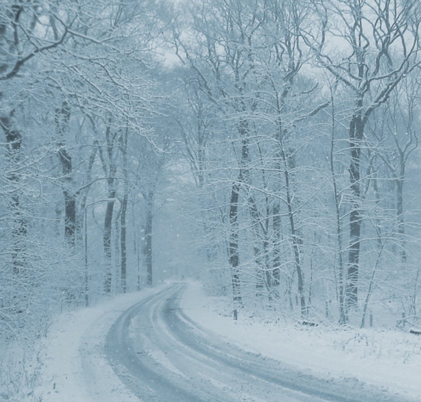Winter Wonderland: The Season of Frost