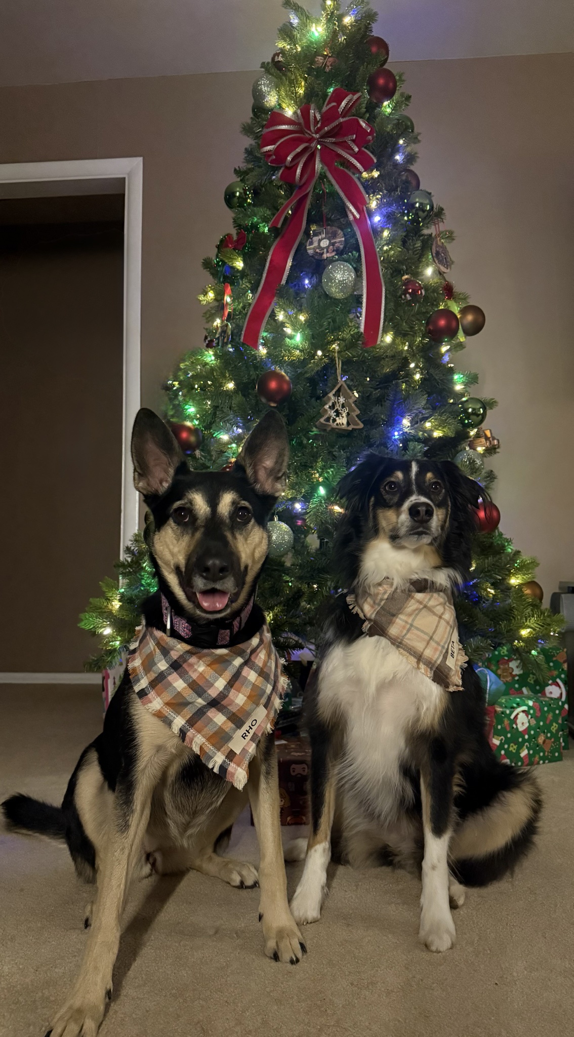 Wishing You a Merry Christmas Filled with Joy!