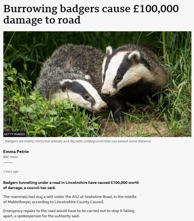 Man constructs roads in animal habitats, then wonders why wildlife still roams there...