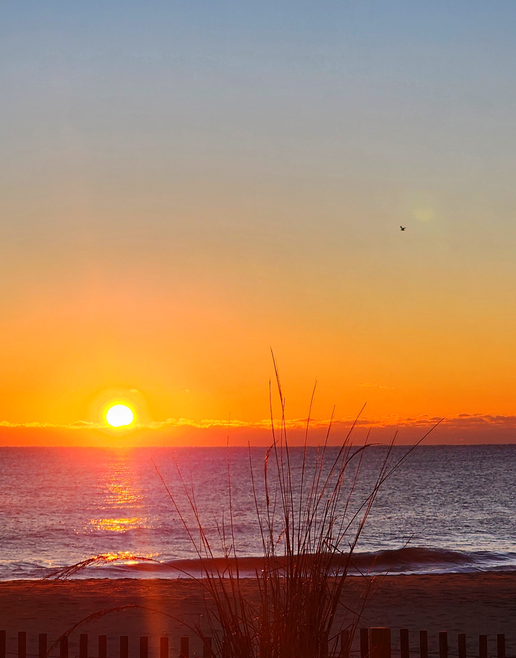 Wishing you a Merry Christmas from the beautiful east coast of Maryland!
