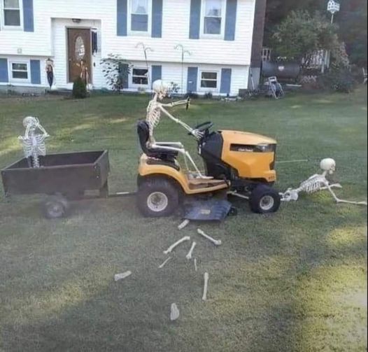 The Great Mowing Mishap