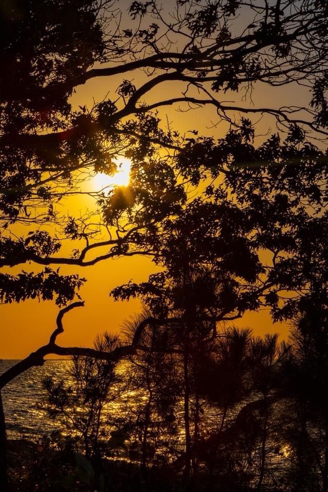 Breathtaking Sunset Views