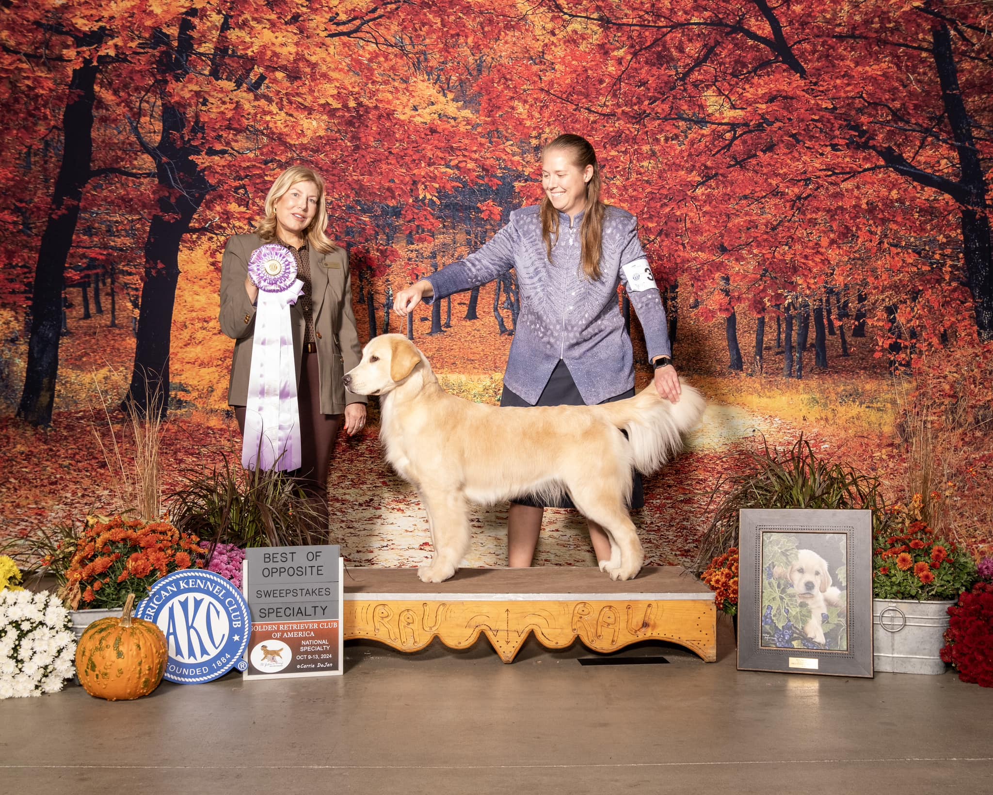 Liberty's A Wonderful Life: Meet 'Zuzu' - Best Opposite in the 2024 GRCA National Sweepstakes