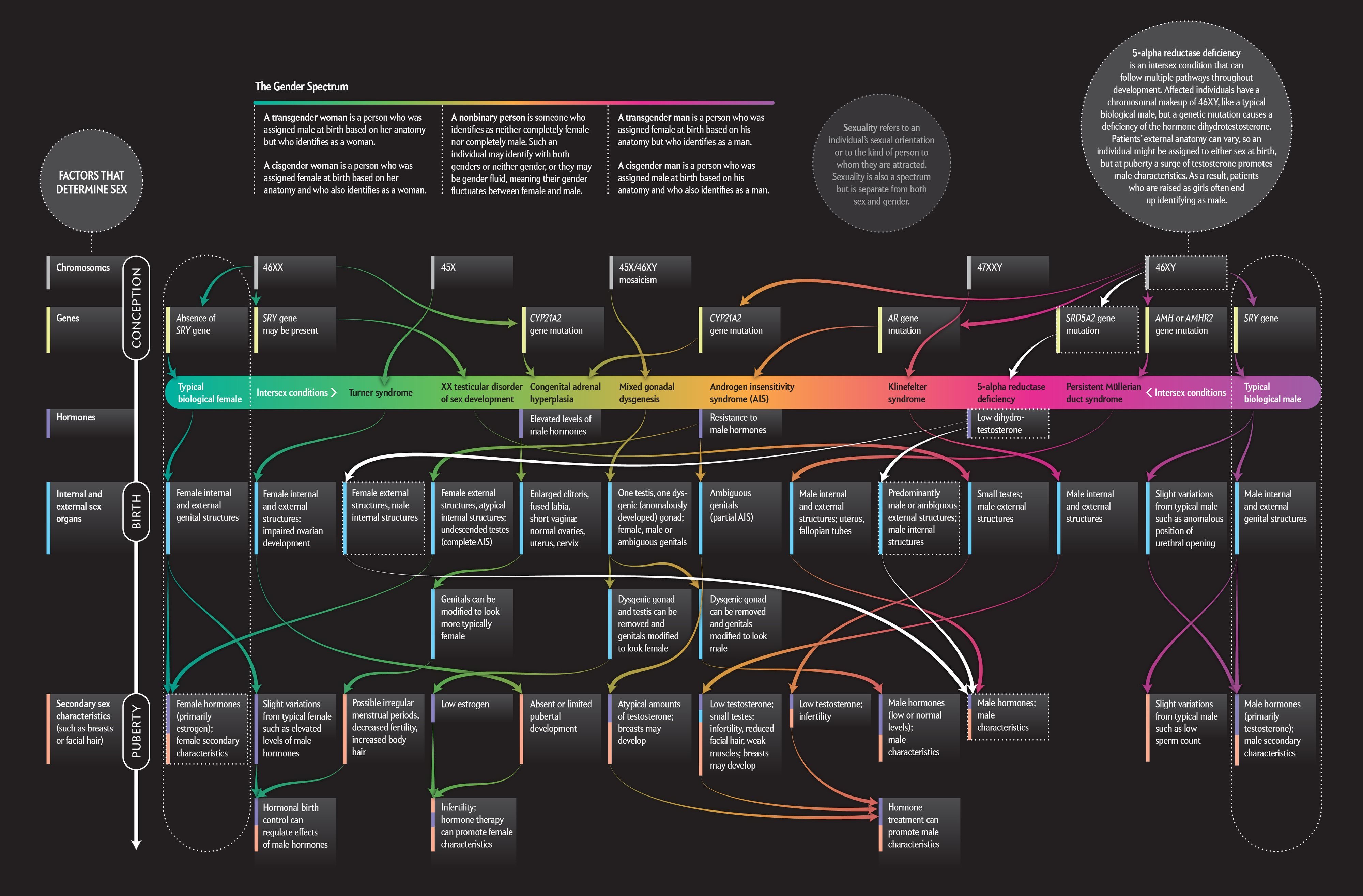 Understanding gender: it's not just black and white, it's a beautiful spectrum.