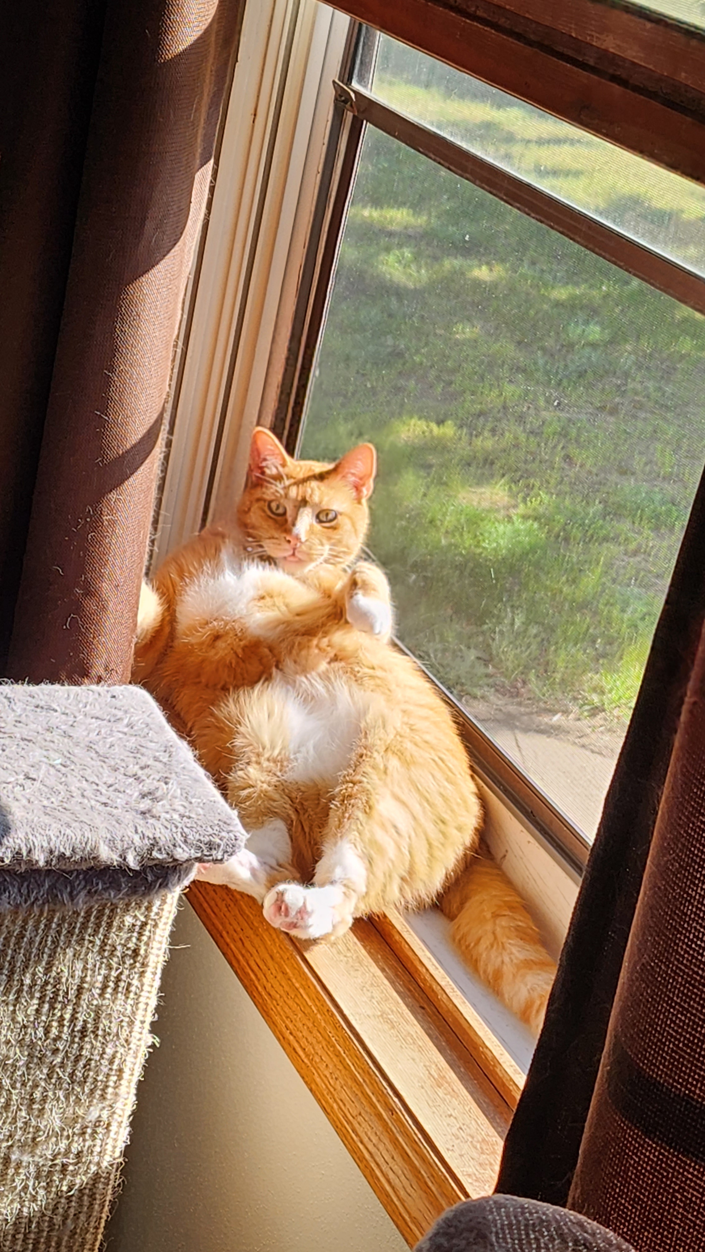 Pose for me like one of your French girls
