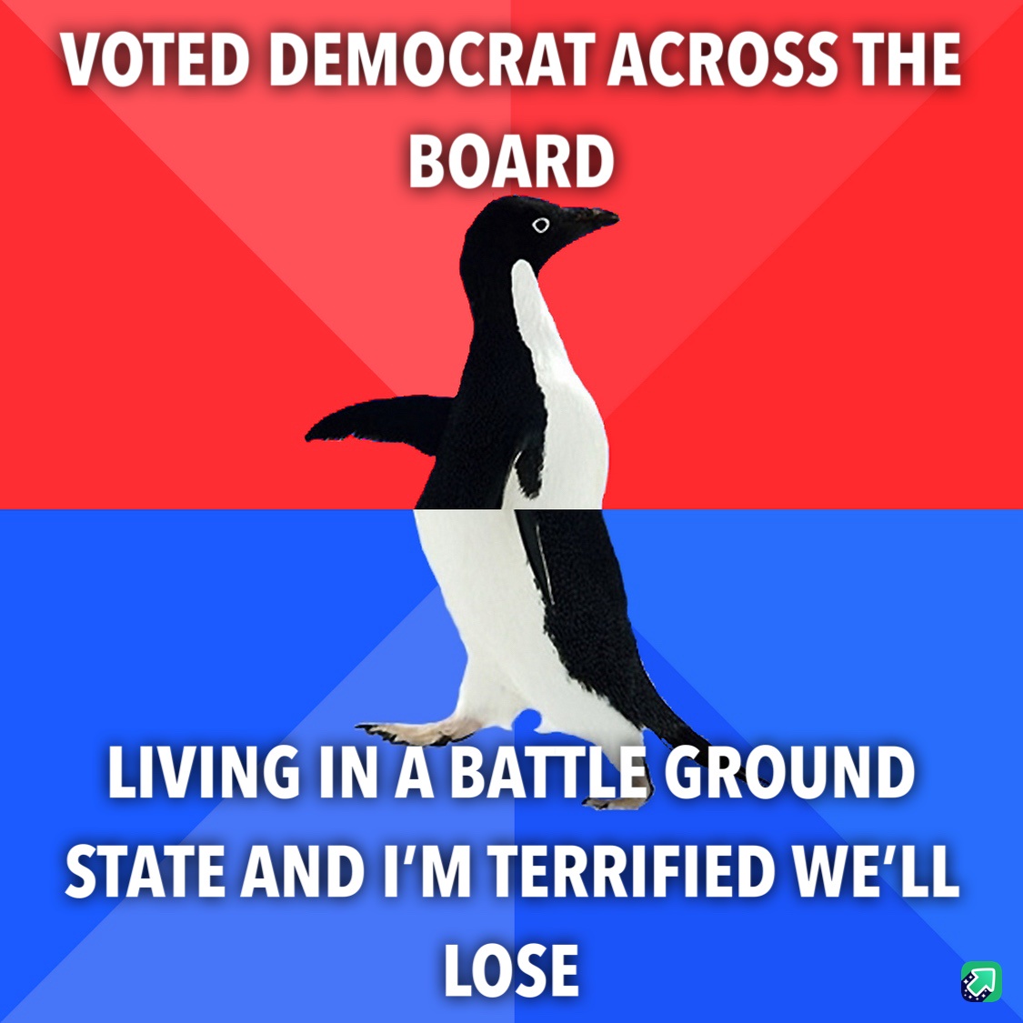 I Did My Part for Democracy
