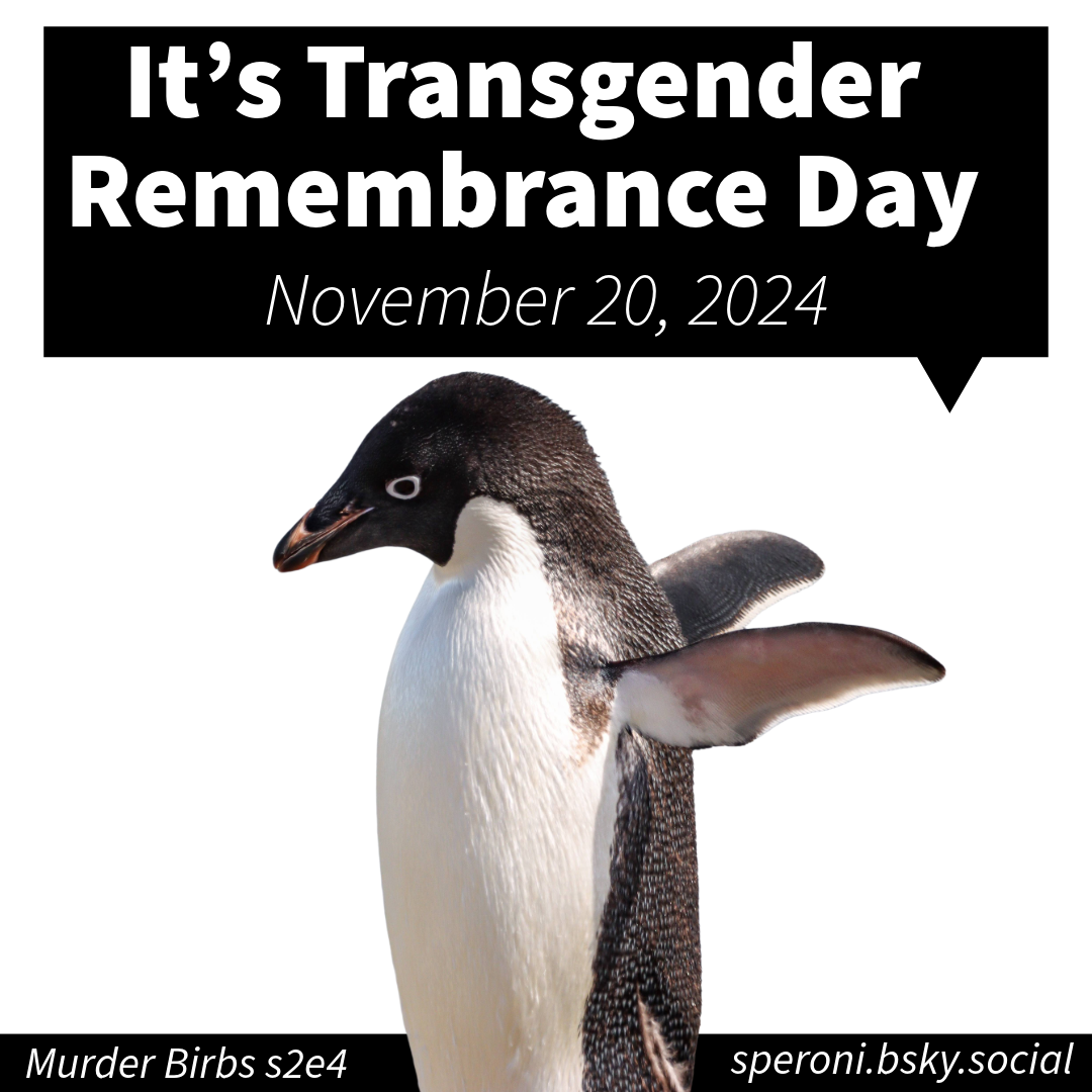Honoring Transgender Remembrance Day with love and respect.