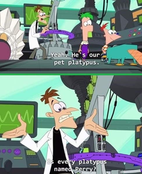 Meet Our Beloved Pet
