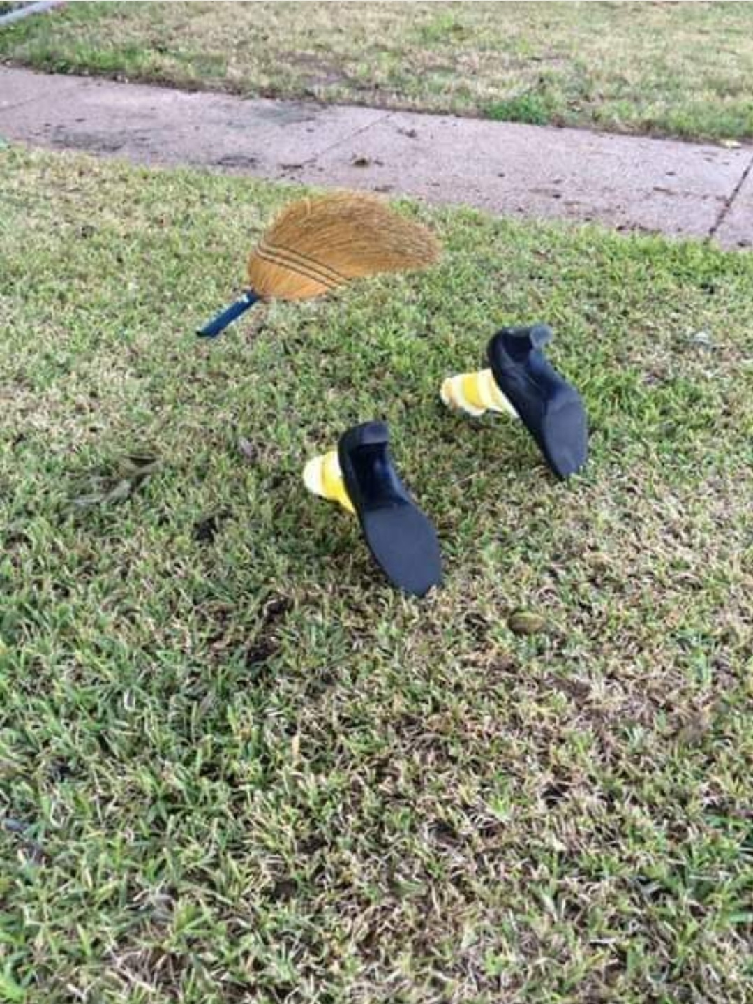 A Friendly Reminder: Never Drink and Fly!