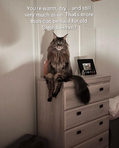 Sharing an old meme I created back in the day.