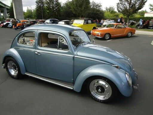 The Alluring Charm of Silver Blue
