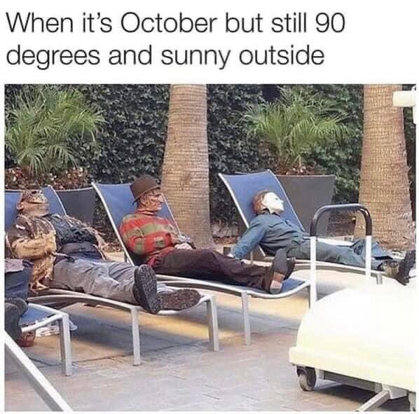 This Year is Definitely the One