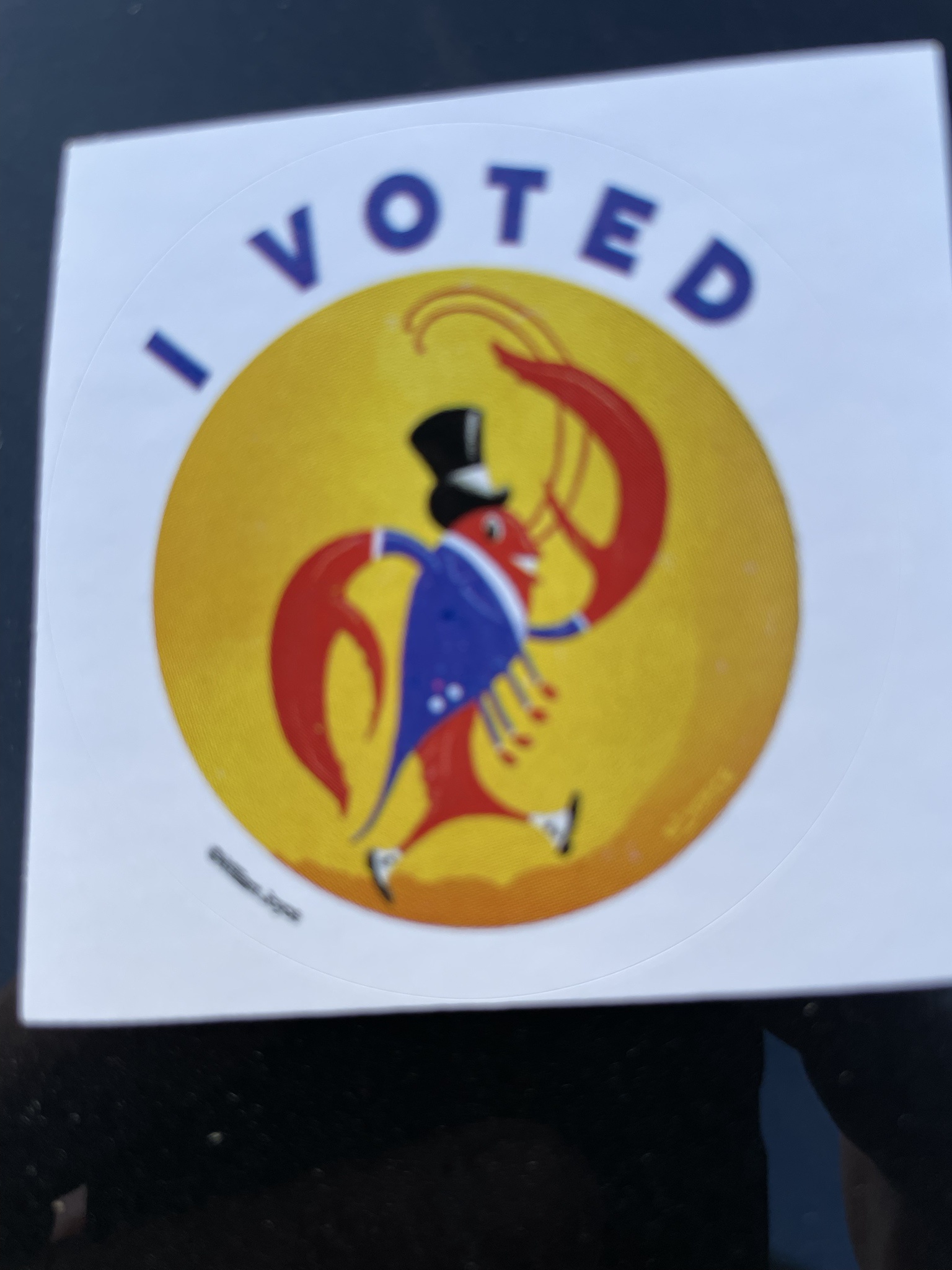 I made my voice heard at the polls today!