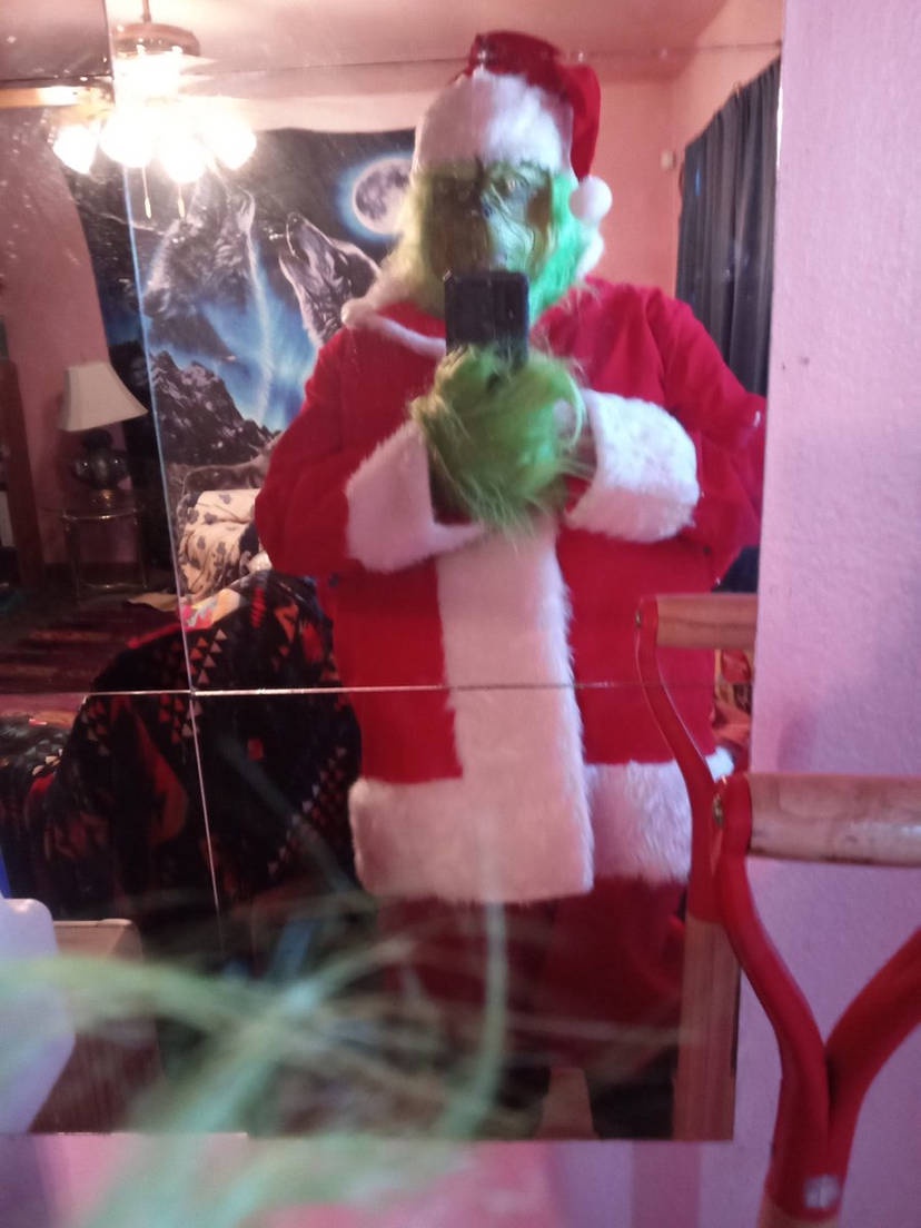 My Grinch Costume for Halloween 2024: A Sneak Peek