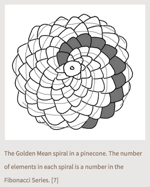 You can't top this Fibonacci corn reference!