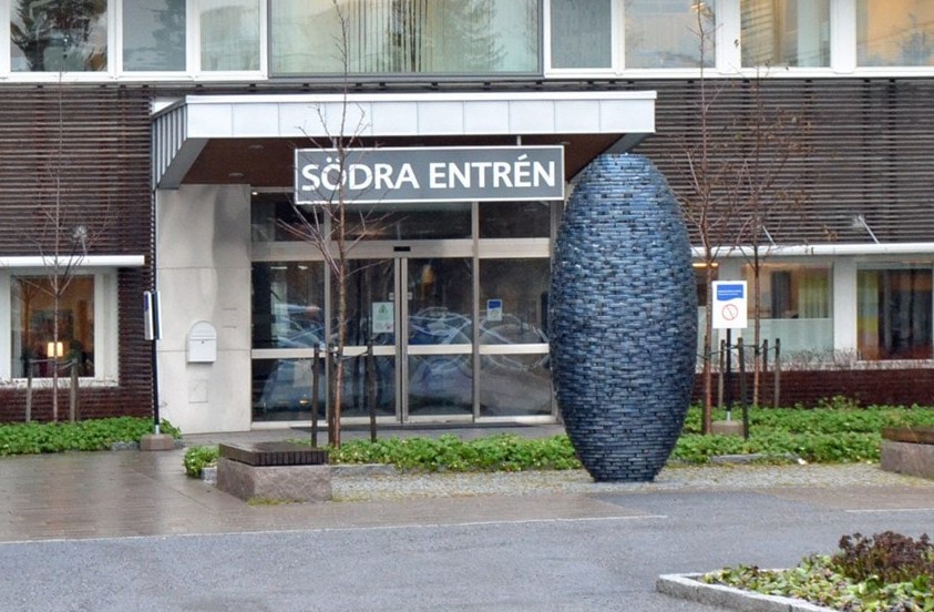 A Pine Cone Adventure in Northern Sweden