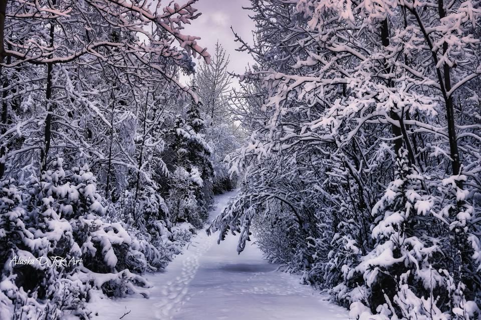 A Serene Winter Path Awaits