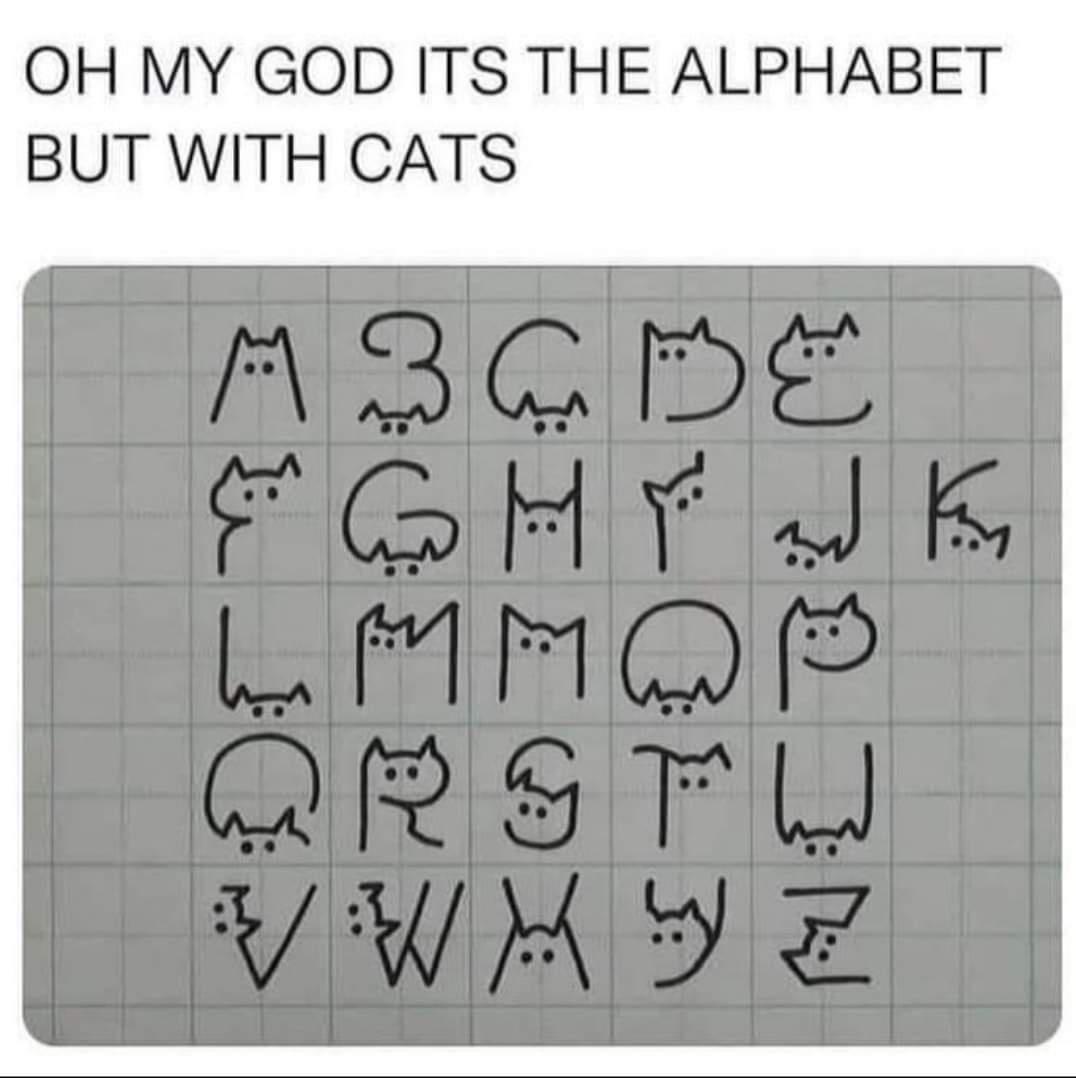 The Caturday Alphabet: A Feline Guide