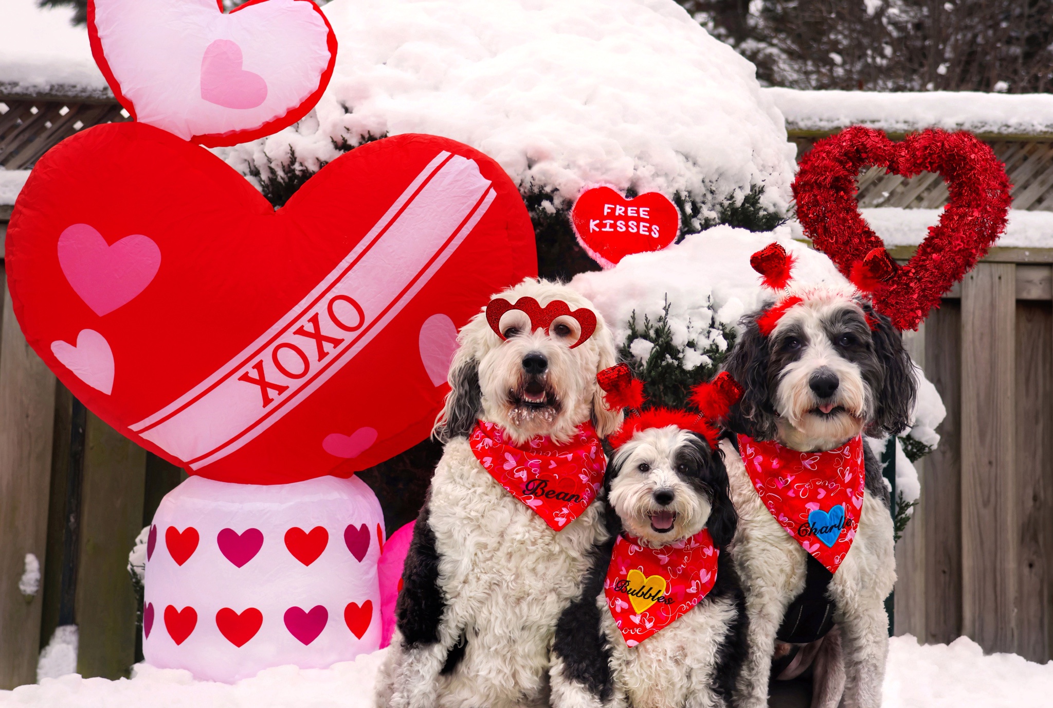 Wishing You a Joyful Valentine's Day 2025!