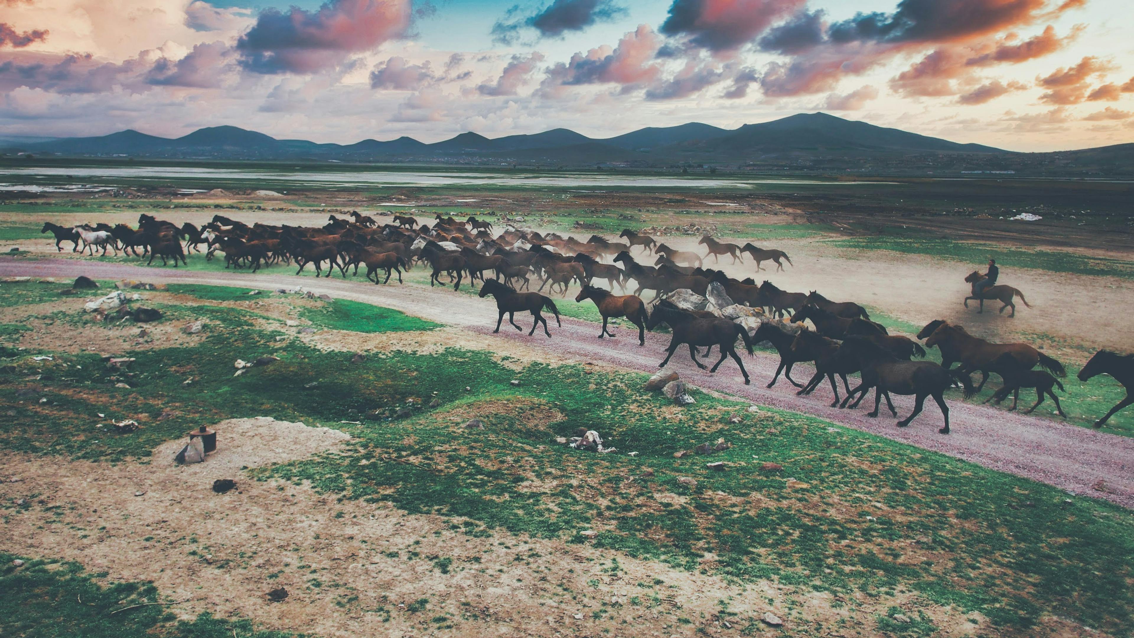 A Majestic Horse Herd Against the Backdrop of Sunset Plains