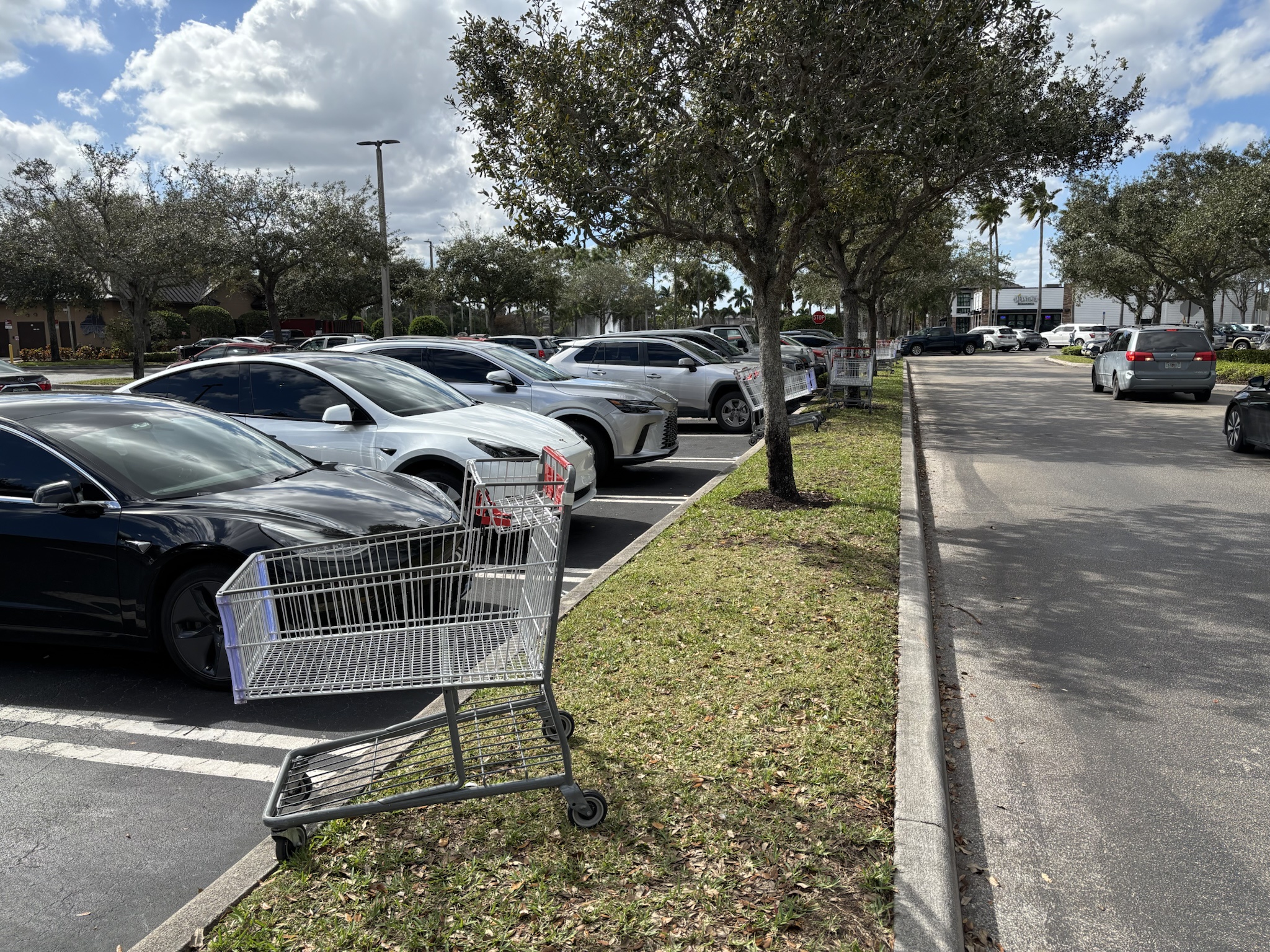 A glimpse into the hustle and bustle of the Costco parking lot during my visit today