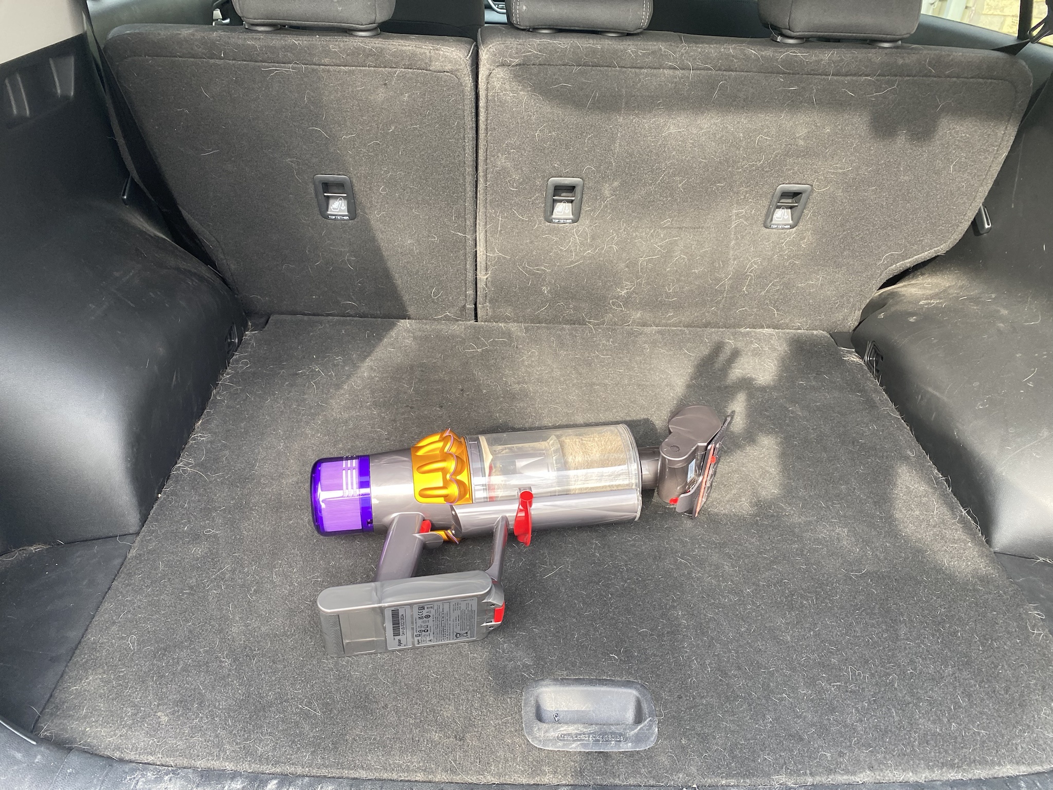 The Epic Battle Against Dog Hair in My Car
