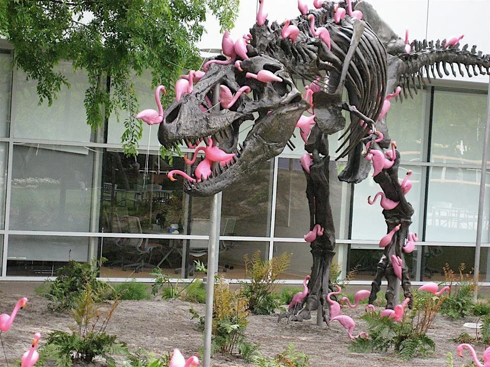 Did you know flamingos can strip a T-Rex to the bone in no time?