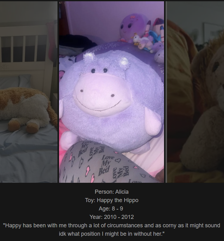 Day 770 - Join Me on My Website to Celebrate Our Childhood Toy Bonds! Meet Happy the Hippo, Our Latest Addition!