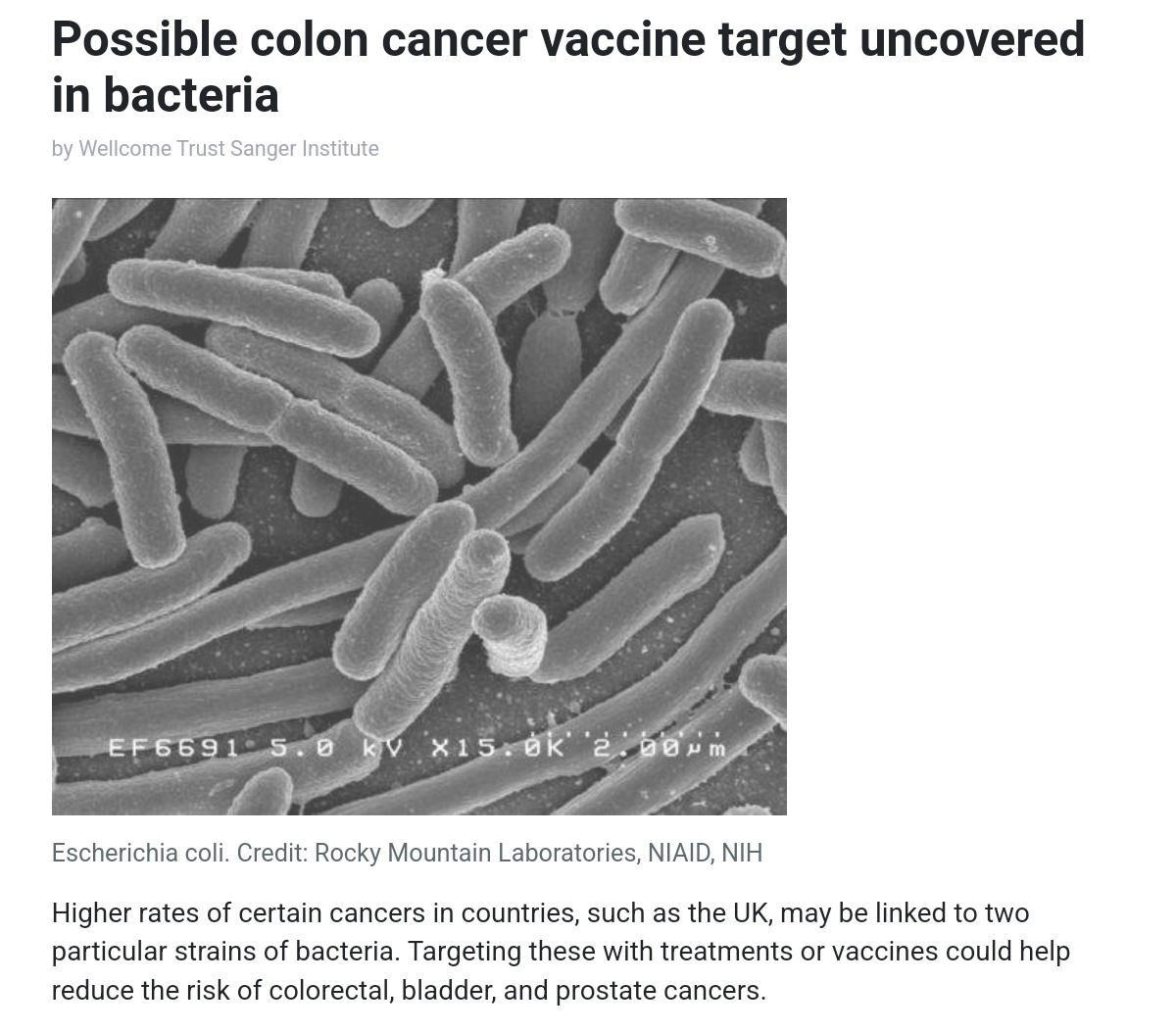 Breakthrough in Colon Cancer Research: A Potential Vaccine Target Found in Bacteria