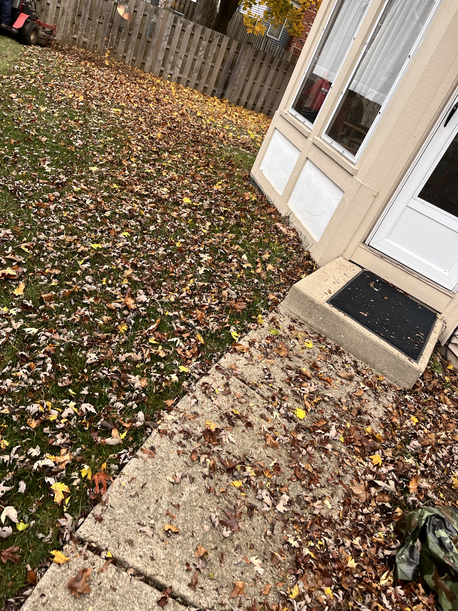 Slaw's fall cleanup mission