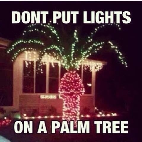 It's Officially Time to Embrace the Christmas Spirit!