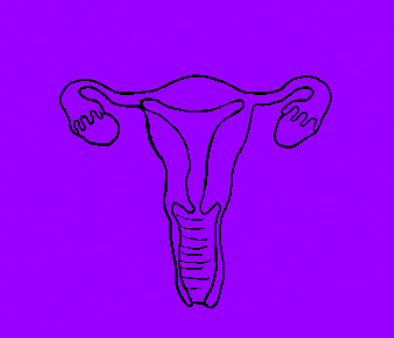 The Flippin' Uterus: A Bold Statement
