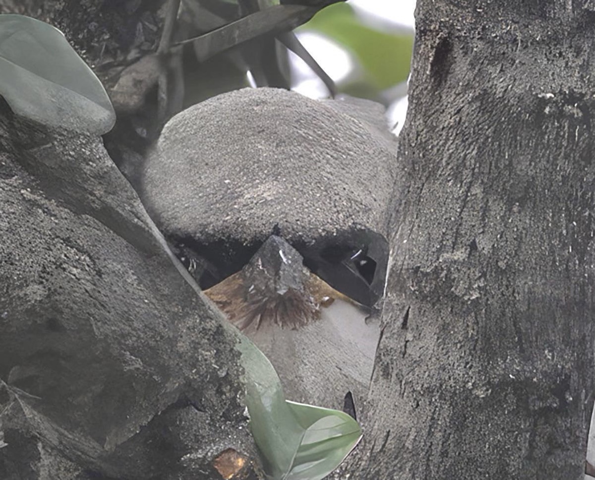 Caught in the Act: Here’s Looking at You!