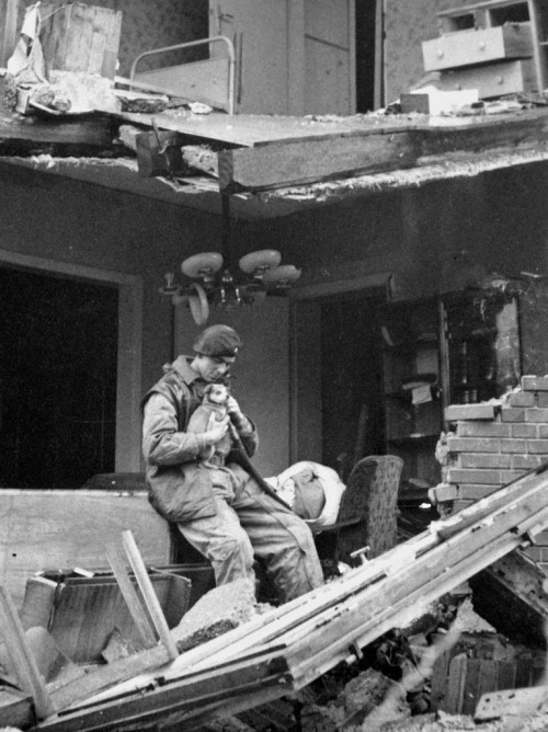 A Heartwarming Rescue: British Soldier Saves Puppy in WWII