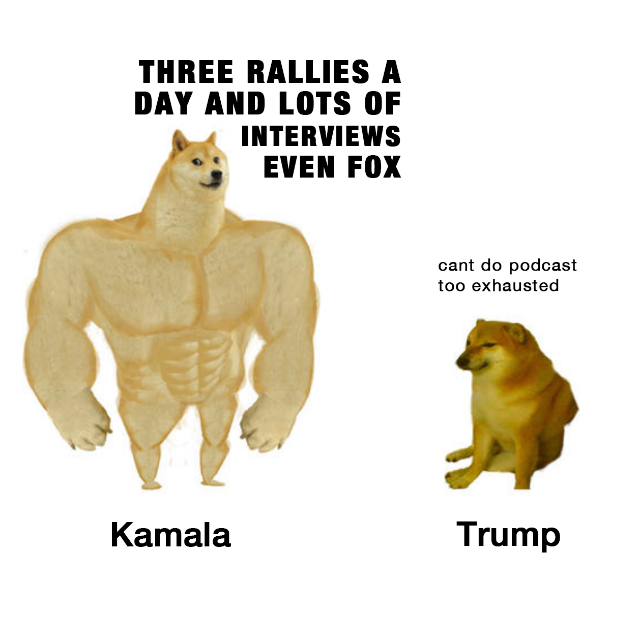 Why Trump Can't Match Kamala's Campaign Style