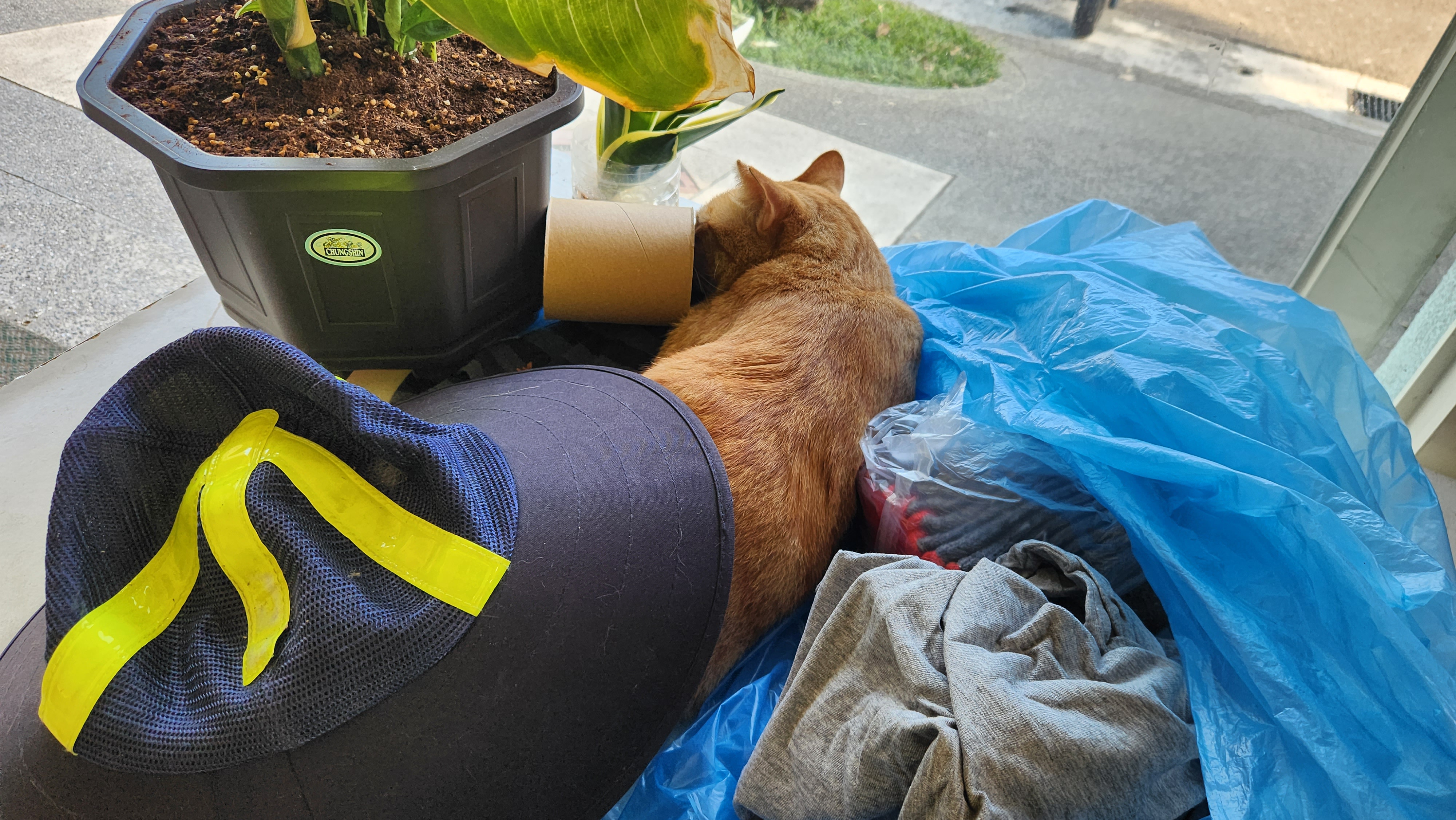 The Sweet Embrace of Sleep