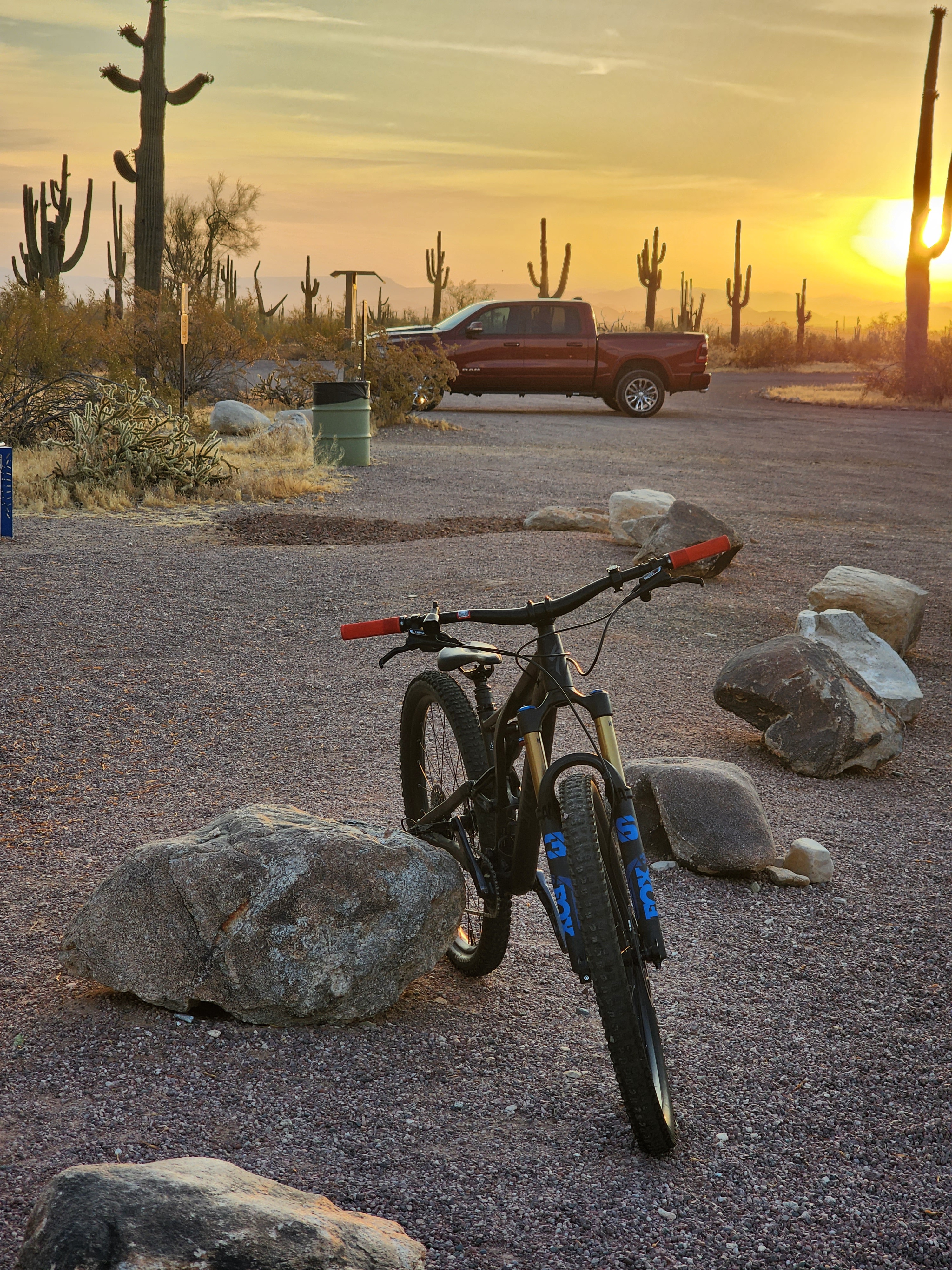 Meet the Specialized Stumpjumper Alloy: A Cyclist's Dream