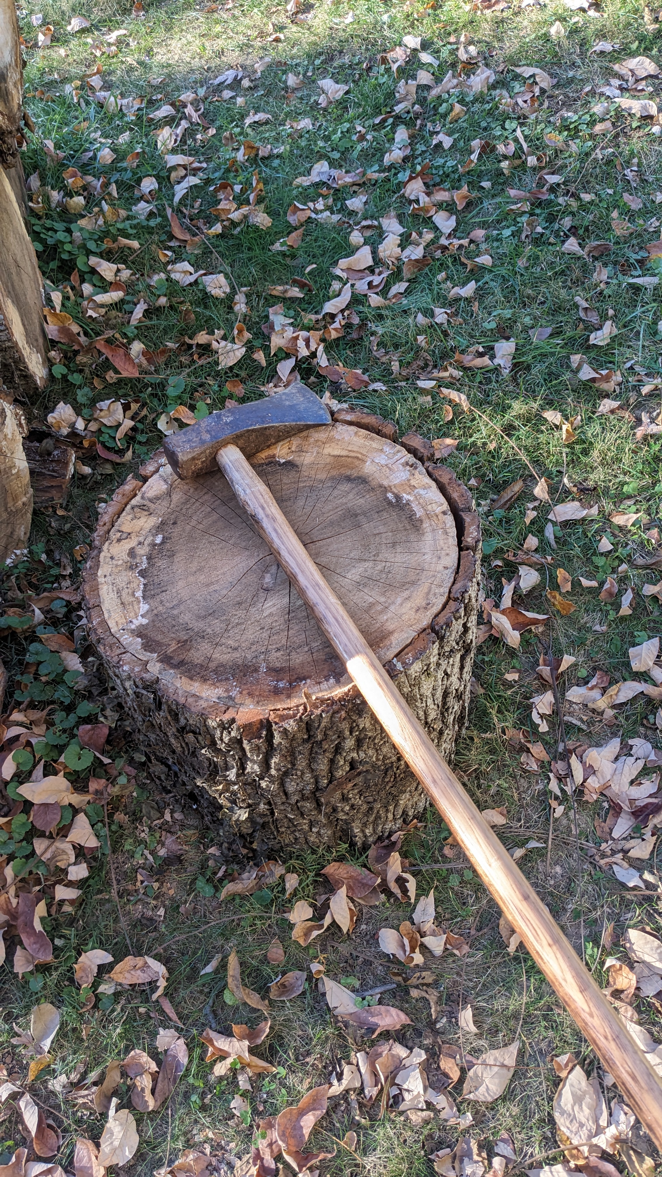 Splitting Logs with a Tall Old Guy This Time Around