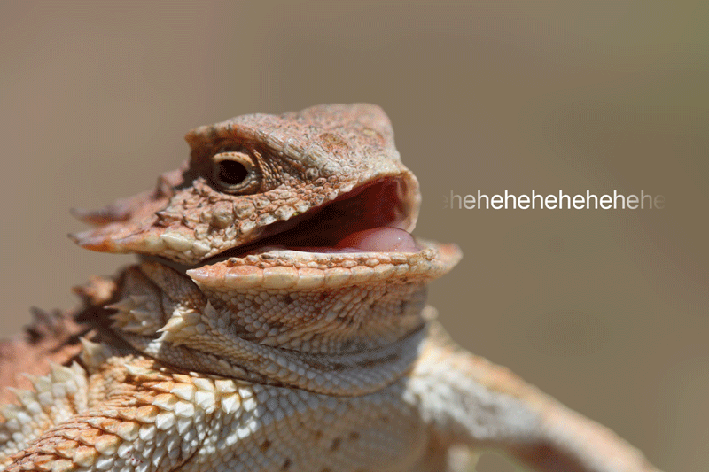 My Brother's Face When He’s About to Spill My Secrets