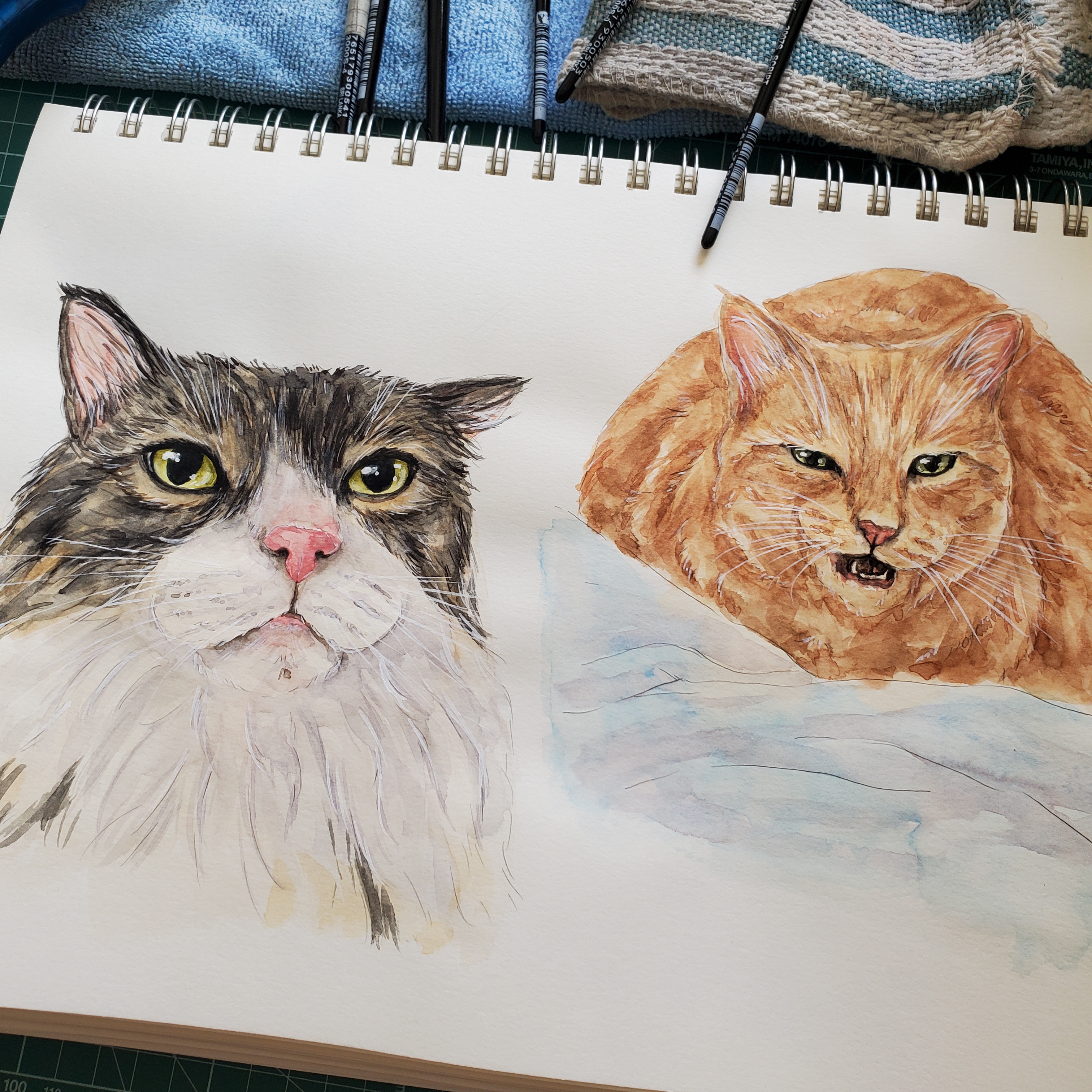 Celebrating Caturday with My Latest Pet Portraits!